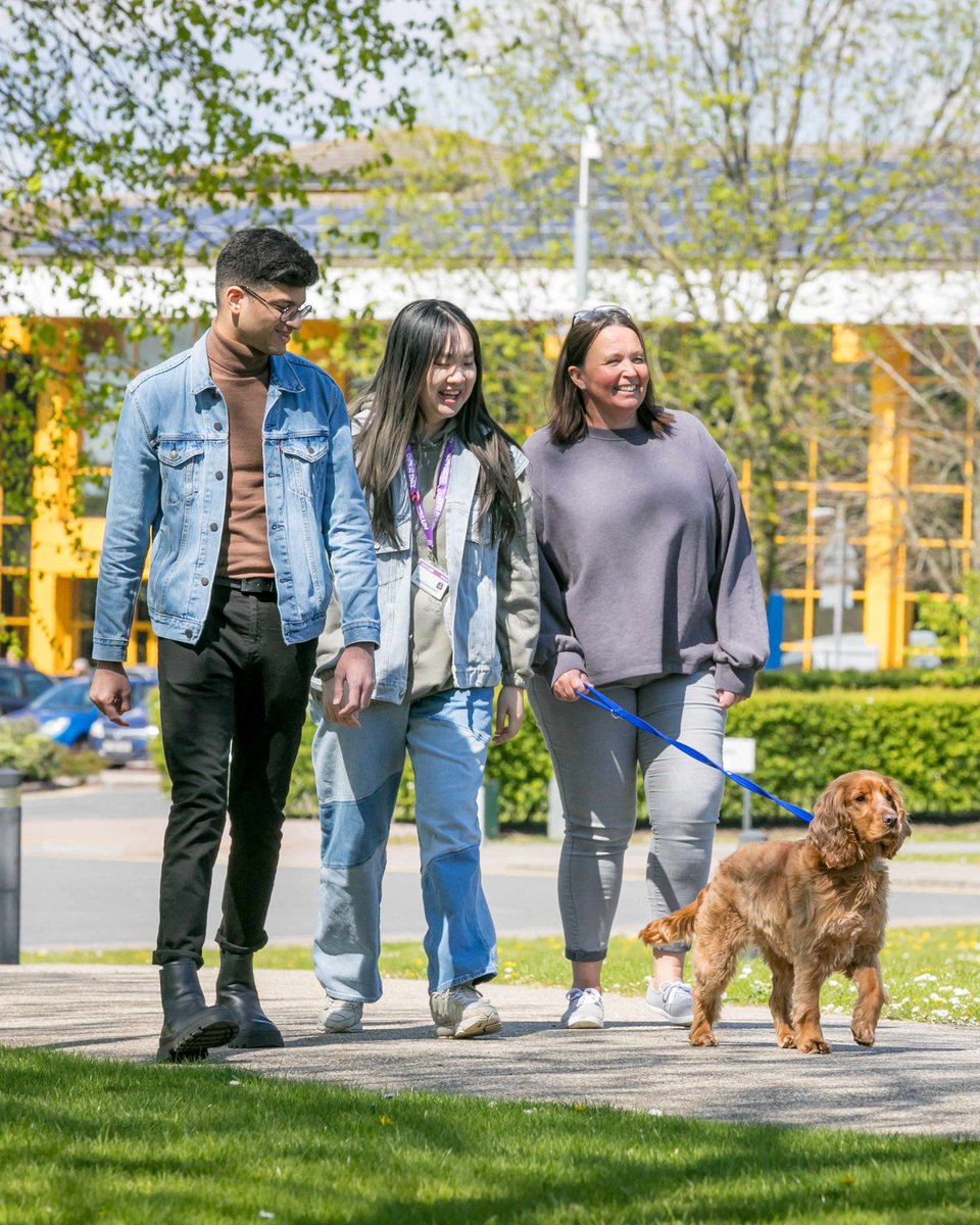 🐕 Fun fact Friday! Did you know that #UniofHerts has it's own pet therapy dog? Meet Poppy!
You will often see Poppy walking through campus with her handler. Feel free to stop and say hello. She is the perfect cure for any exam stress or assignment worries! 🥰 

#GoHerts #Herts
