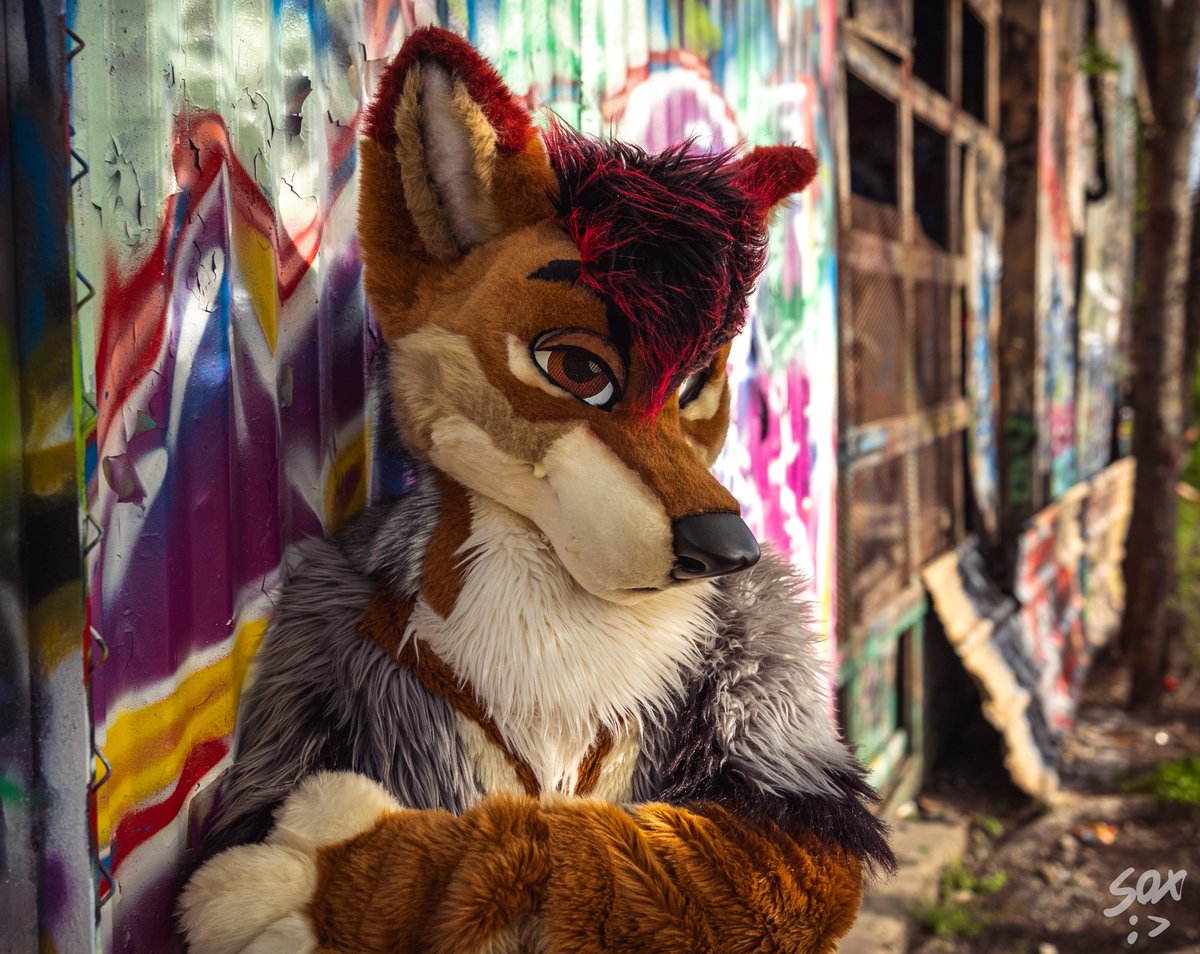 Have a thirsty jackal on your timeline today 😉
#FursuitFriday 
✂: <a href="/MadeFurYou/">Made Fur You</a> 
📷: <a href="/SilySox/">Sox</a>