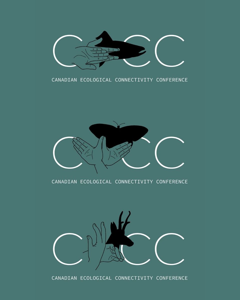 EcoDesign Lab tweet media