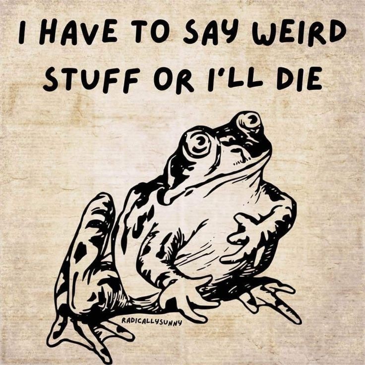 No Context Frogs (@nocontextfrogs) on Twitter photo 