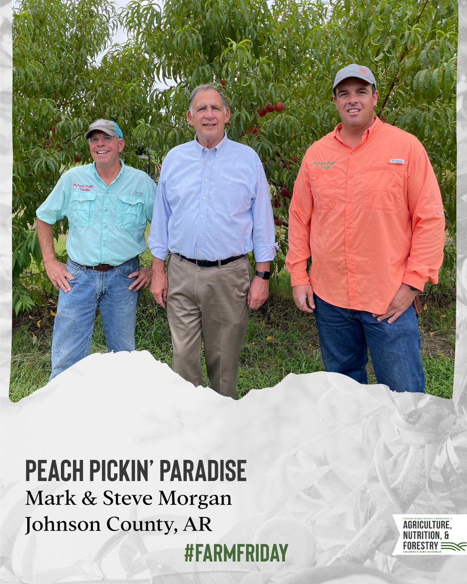 This #FarmFriday we’re showing you the progress at Peach Pickin’ Paradise in Johnson County, Arkansas where Mark and Steve Morgan grow 26 varieties of peaches. 🍑

Mark is a fifth-generation farmer who is optimistic about this season. He and his dad recently fertilized their