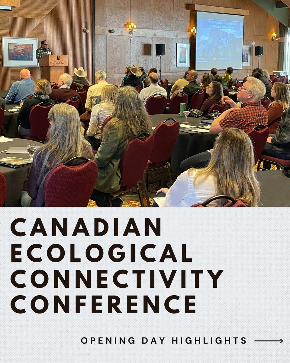 EcoDesign Lab tweet media