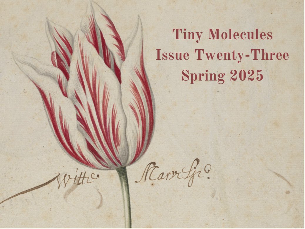 TinyMolecules's tweet image. The Spring Issue is here! Thank you to all our contributors, and to our wonderful team. This one is beautiful!
tinymolecules.com/issues/twentyt…