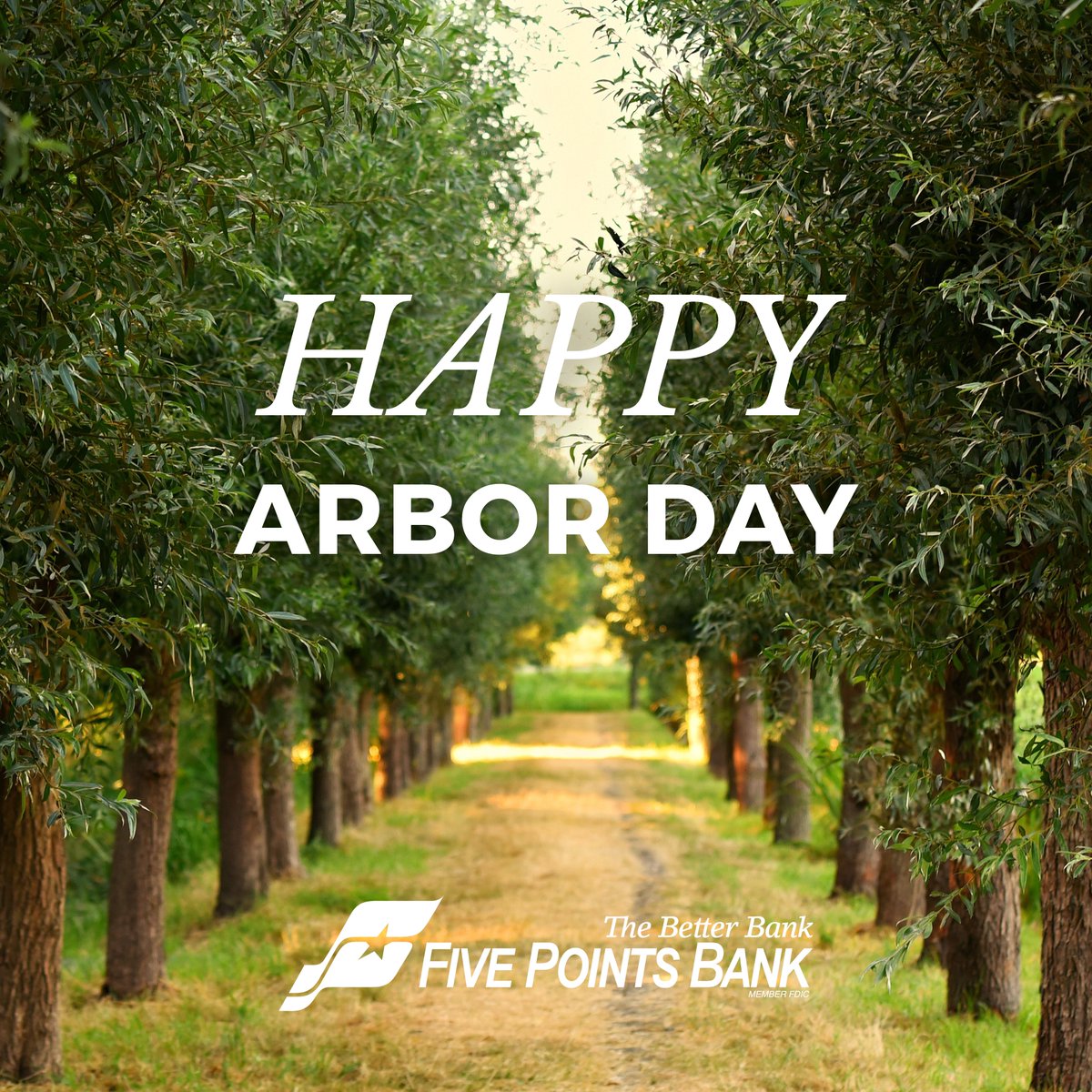 🌳 Happy Arbor Day!

We’re taking a moment to appreciate the trees that make our neighborhoods a little greener and our days a little brighter. Here’s to growing a better tomorrow—one tree at a time.