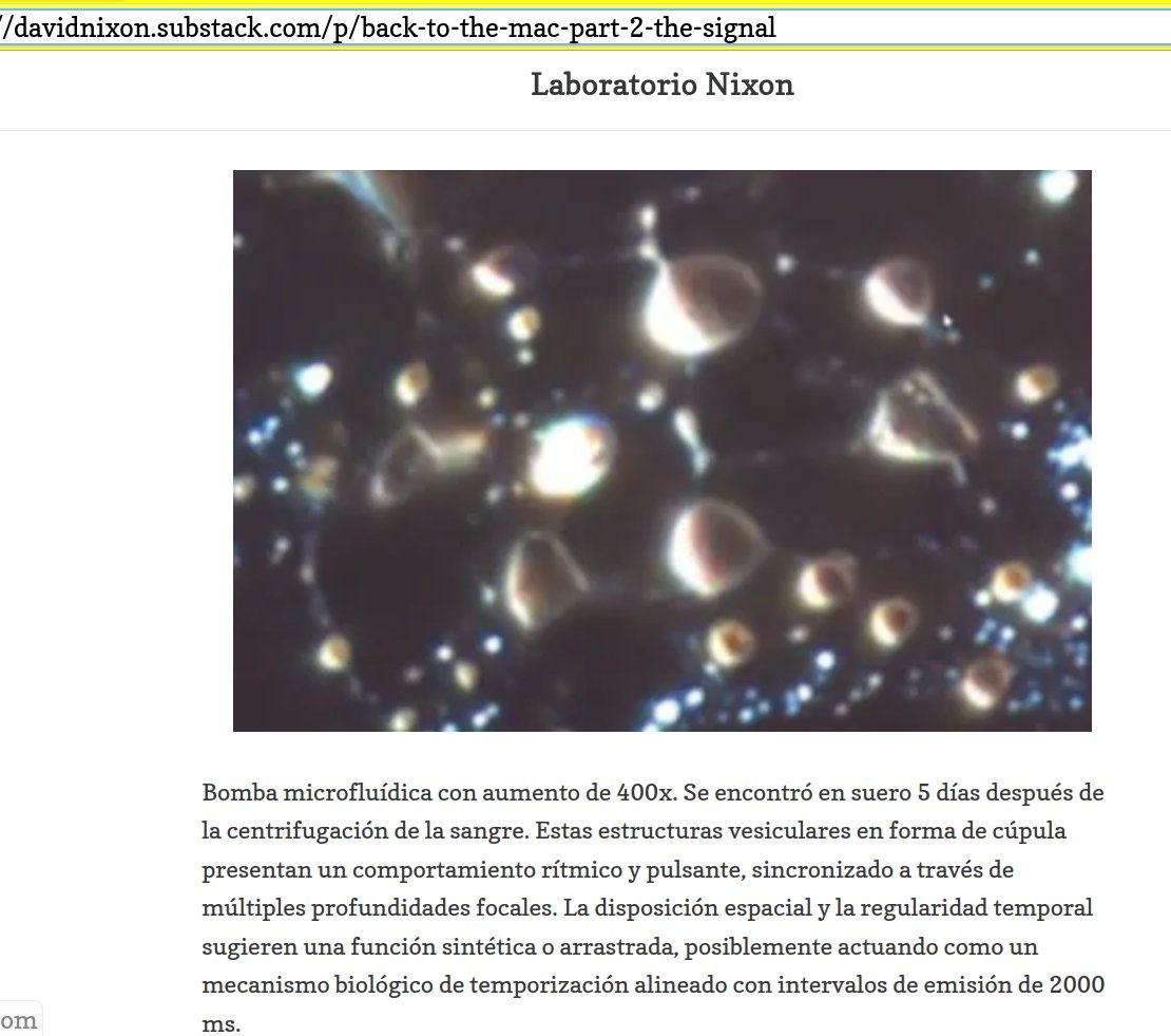 _Tuerto's tweet image. davidnixon.substack.com/p/back-to-the-… #MAC #MACaddress #address