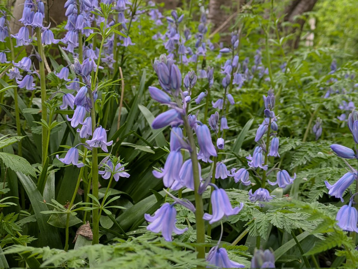 Paul Brook tweet media