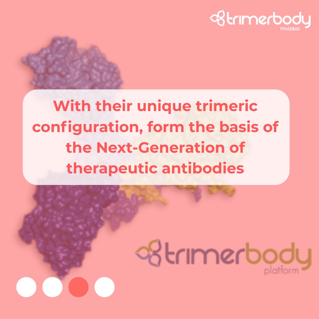 TrimerbodyPh's tweet image. What is Trimerbody?
Let's see it 👀
More information on our website👇
trimerbodypharma.com/understanding/
