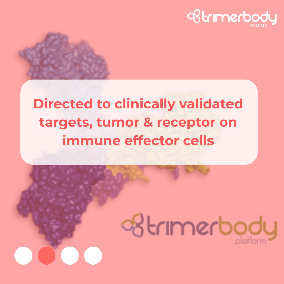 TrimerbodyPh's tweet image. What is Trimerbody?
Let's see it 👀
More information on our website👇
trimerbodypharma.com/understanding/