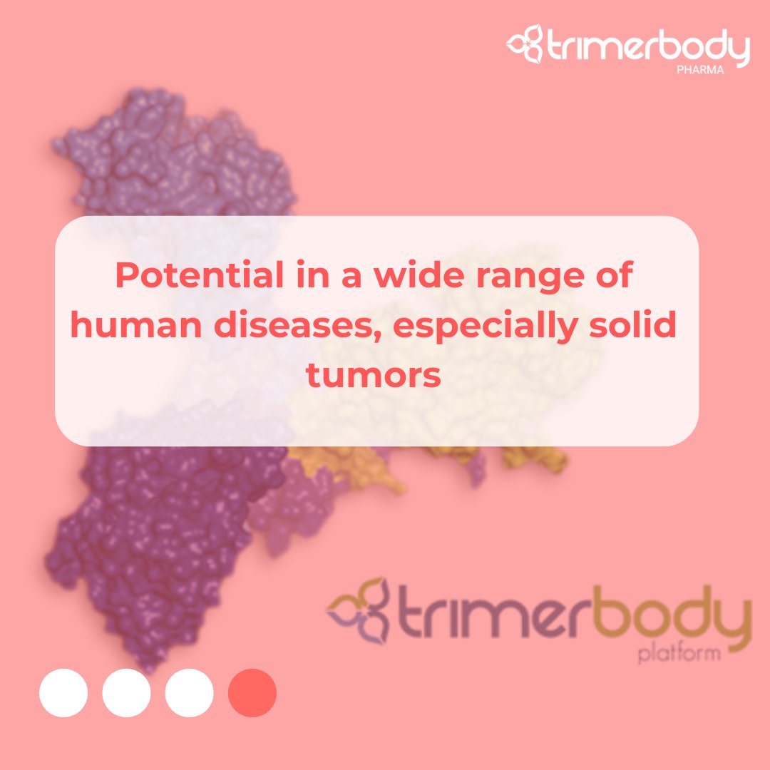 TrimerbodyPh's tweet image. What is Trimerbody?
Let's see it 👀
More information on our website👇
trimerbodypharma.com/understanding/