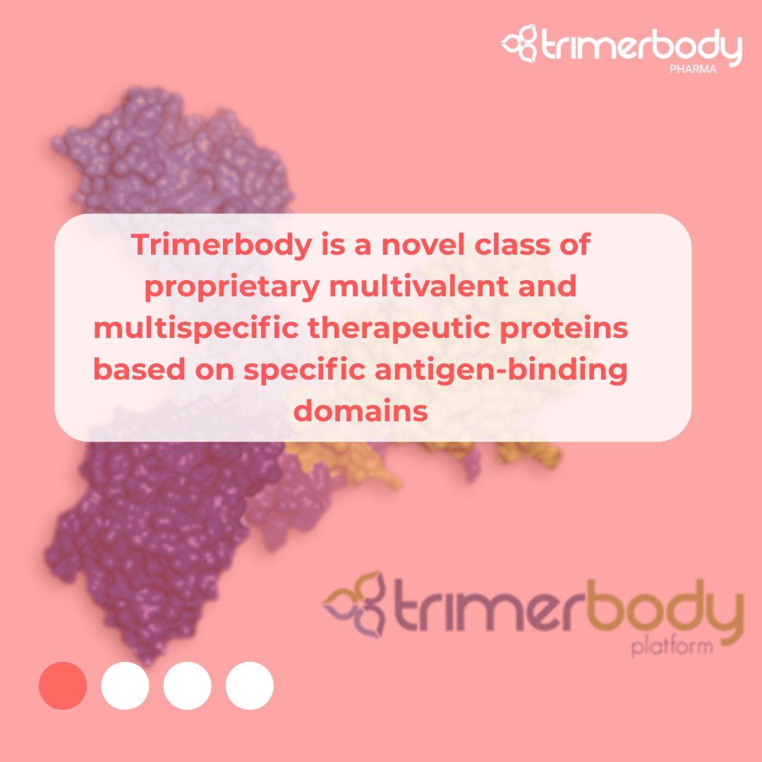 TrimerbodyPh's tweet image. What is Trimerbody?
Let's see it 👀
More information on our website👇
trimerbodypharma.com/understanding/