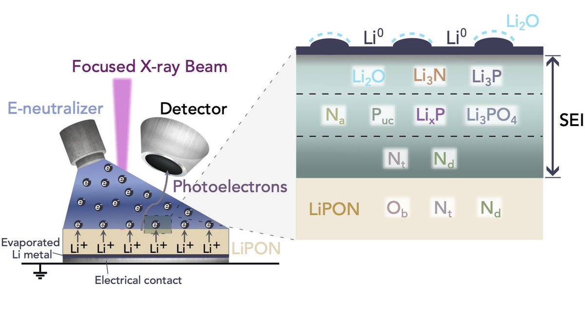 pastagroup tweet media