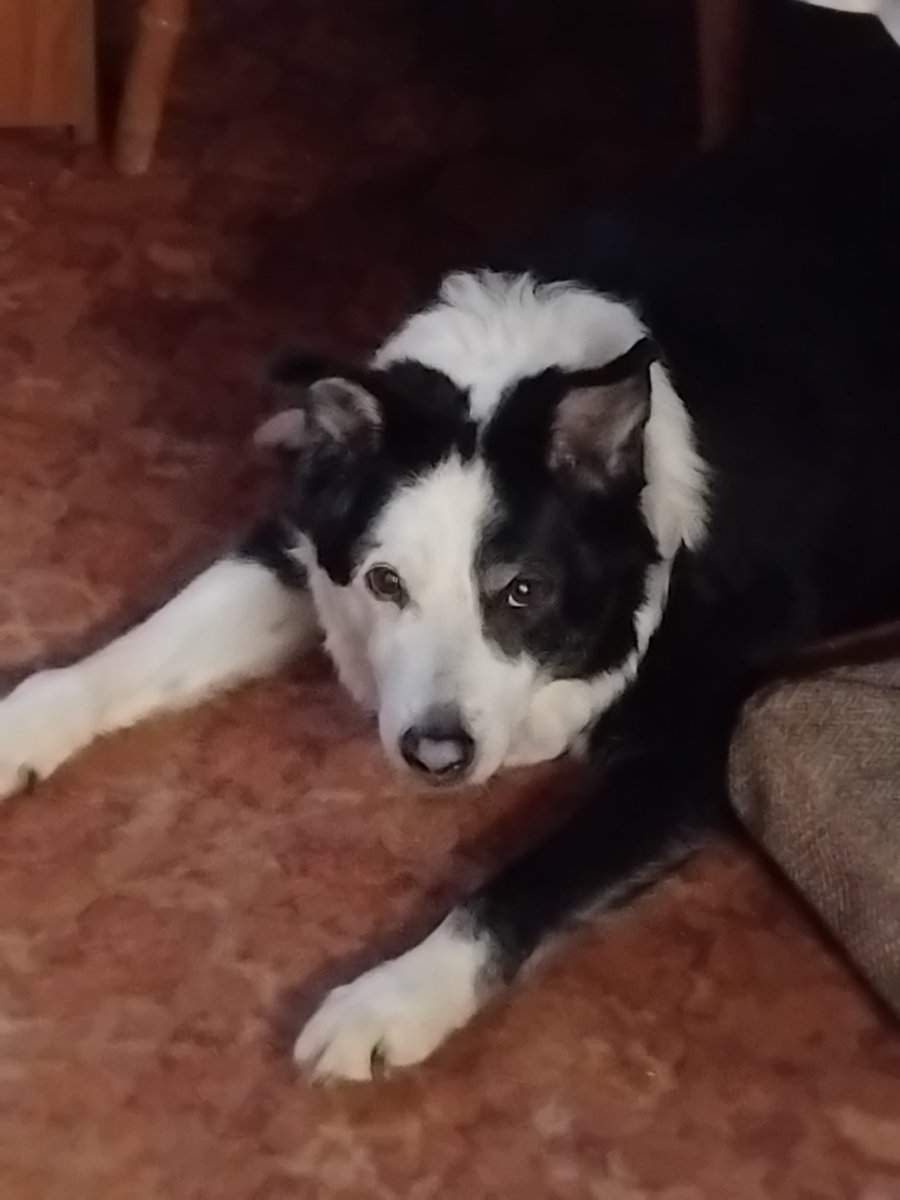 Lisa Mcallister tweet media