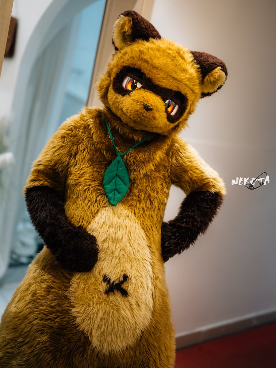 #ATOAMA2025
#FursuitFriday 
每次周五都会特别的忙qwq
就当今天是星期五吧（？）
photo by <a href="/hinekota/">ネコタ@NEKOTA➡SFF</a>