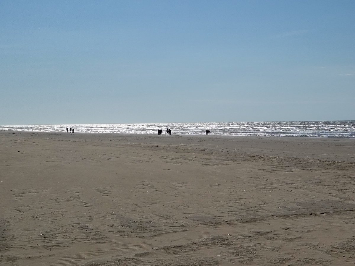 marcelafabero's tweet photo. Les dejo estás fotitos de este medio día en Mar de Ajo, un Día tranquilo y más allá de todo respirar este aire nos llena el alma https://t.co/gZTqVKZuY2