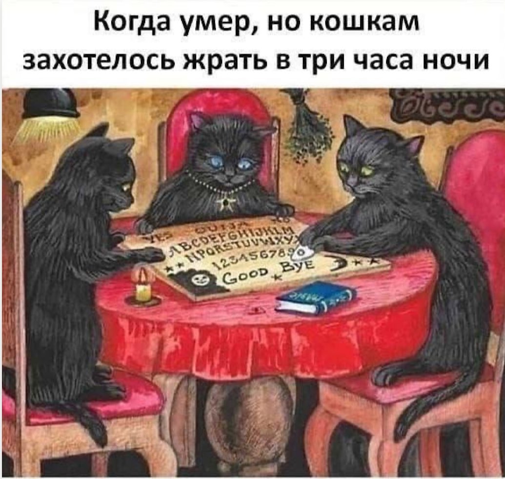 Ваша любимая рубрика #подлыйкот