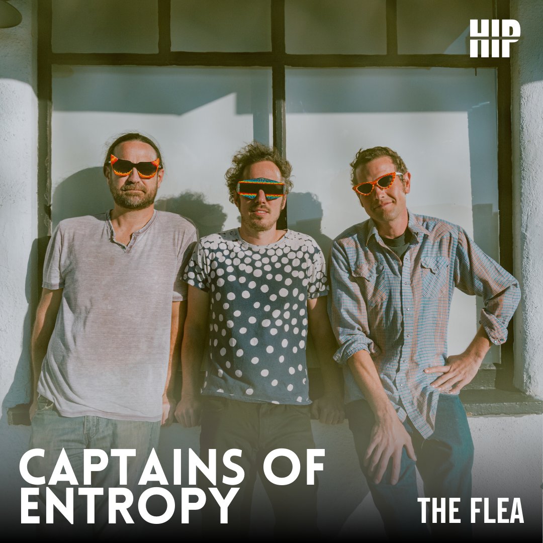 hipvideopromo tweet media