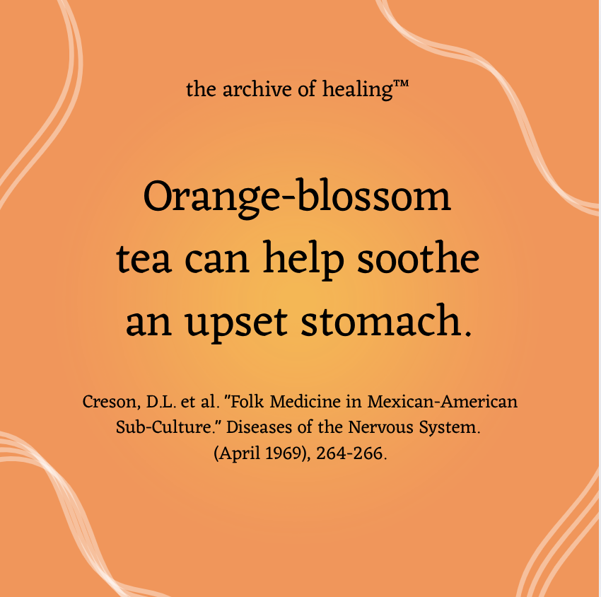 ArchiveHealing's tweet photo. 🍊 🫖 

If you haven't already, please register with us at https://t.co/6Pe5EsQ5Cw to discover global healing knowledge. ⁠
⁠
#medicalhumanities #medicalanthropology #health #healing #publicarchive #wellness #medicine #stomachache #orange #orangeblossom #tea #soothe https://t.co/c2FyYkzSkx