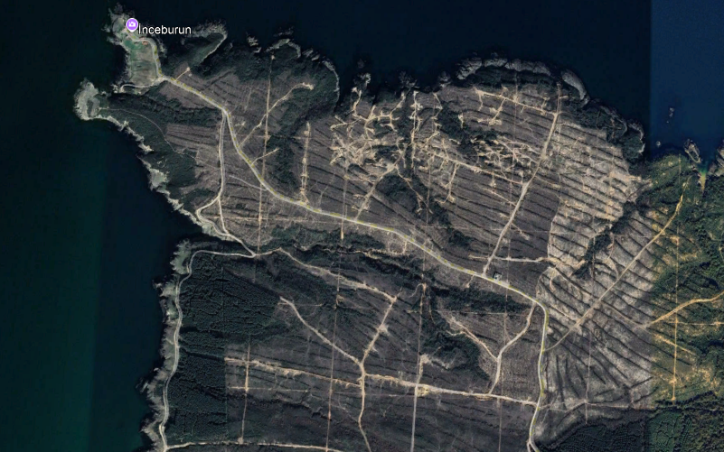 Sinop'ta nükleer santral uğruna yapılan ağaç kıyımının uydu görüntülerine yansıması. İlk kare 2012, ikincisi 2024 yılına ait. Bölgede 1 milyon 200 bin ağacın kesildiği öne sürülüyor. Dün Sinop NGS ÇED davasının bilirkişi keşfi vardı. Av. İsmail Hakkı Atal, yaşananları anlattı.⬇️