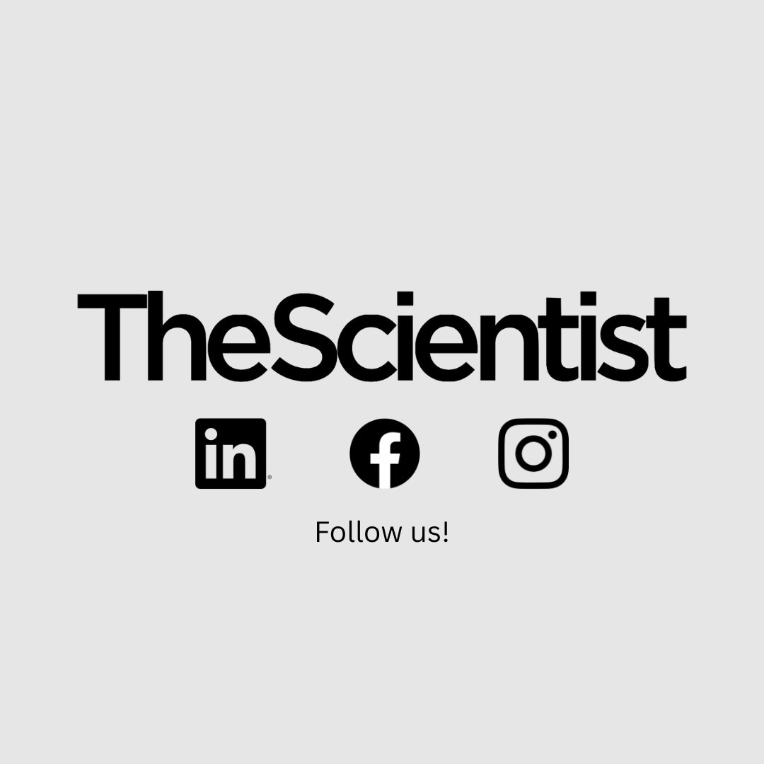 TheScientistLLC's tweet image. We have decided to redirect our efforts to other platforms.
Join us on these platforms to continue receiving the latest stories in life science research from The Scientist:
LinkedIn: bit.ly/4lS9EmA
Facebook: bit.ly/42tI2wl
Instagram: bit.ly/3GtcY7p