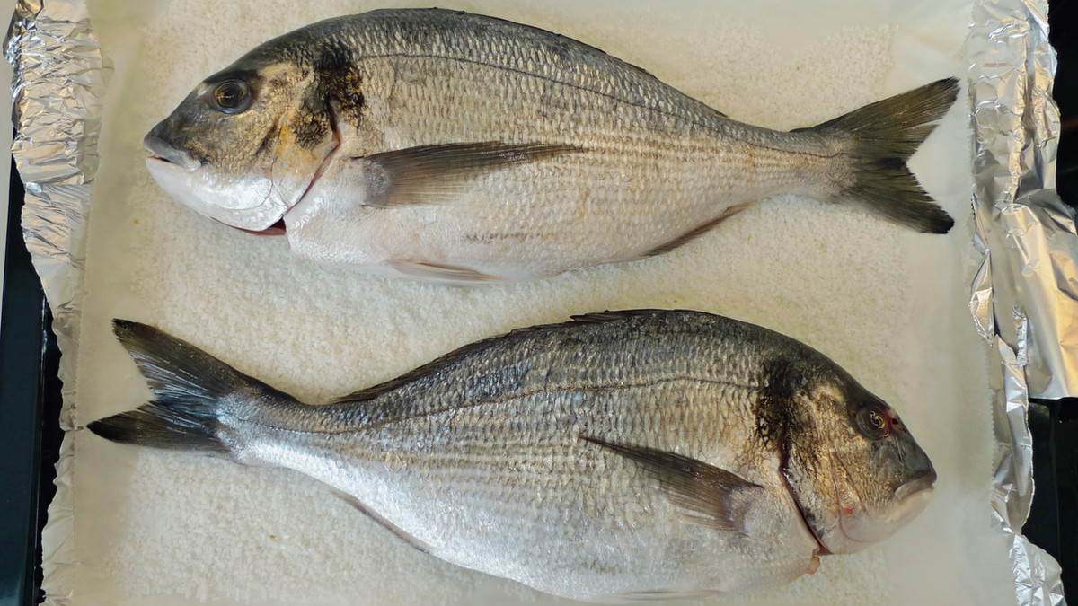 IneintheKitchen's tweet image. 🤫 Secret revealed: the easiest gourmet dish you’ll ever make!

✨ Whole Fish Baked in Salt Crust—light, elegant, and foolproof.

Looks fancy, tastes incredible, and won’t break the bank.

#InesKitchen #SaltCrustedFish #DinnerPartyWow #WholeFishRecipe

wix.to/JIS6Uq8