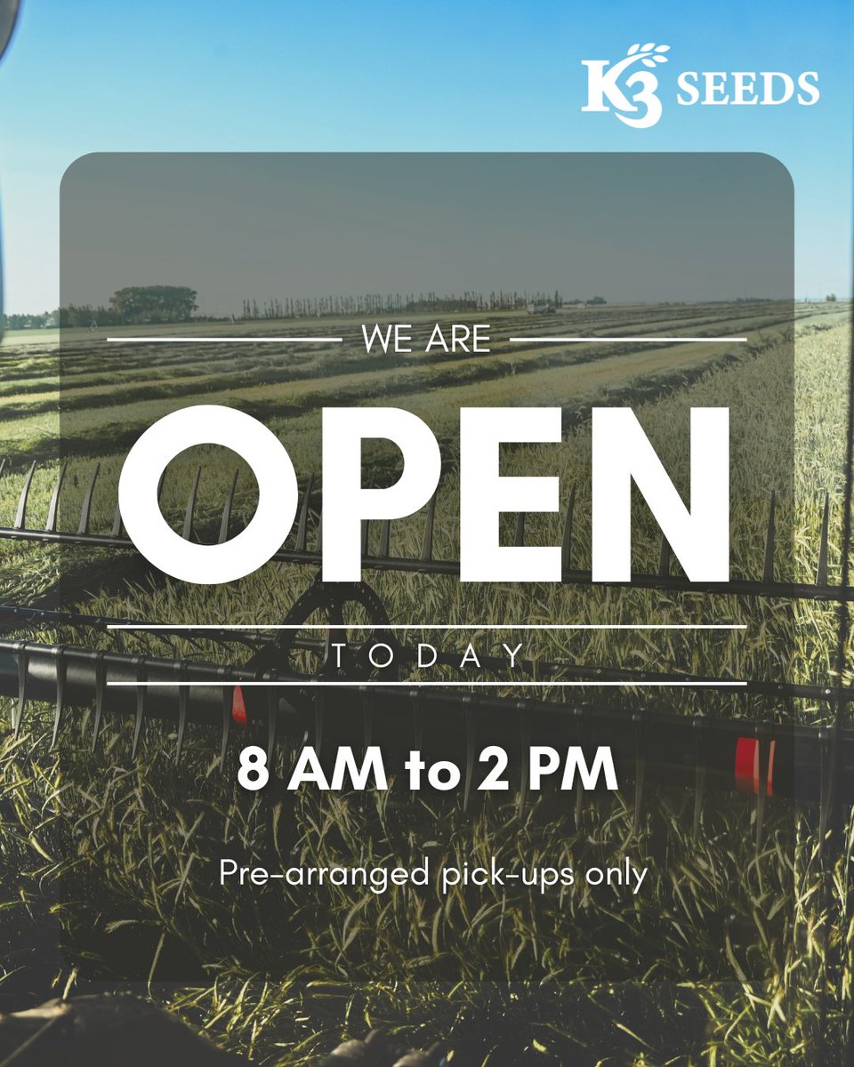 K3 Seeds tweet media