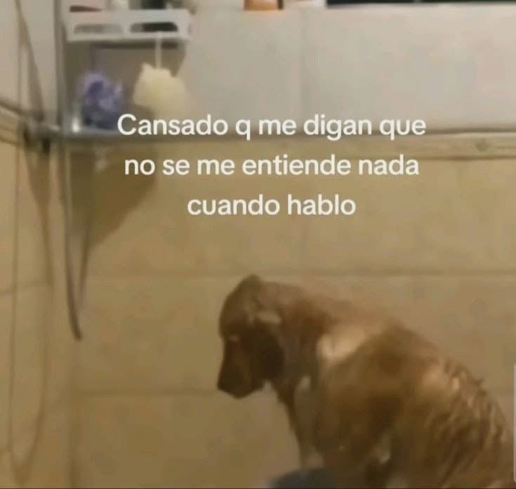 estebansevillaa's tweet photo. https://t.co/zF4HeEvsa6