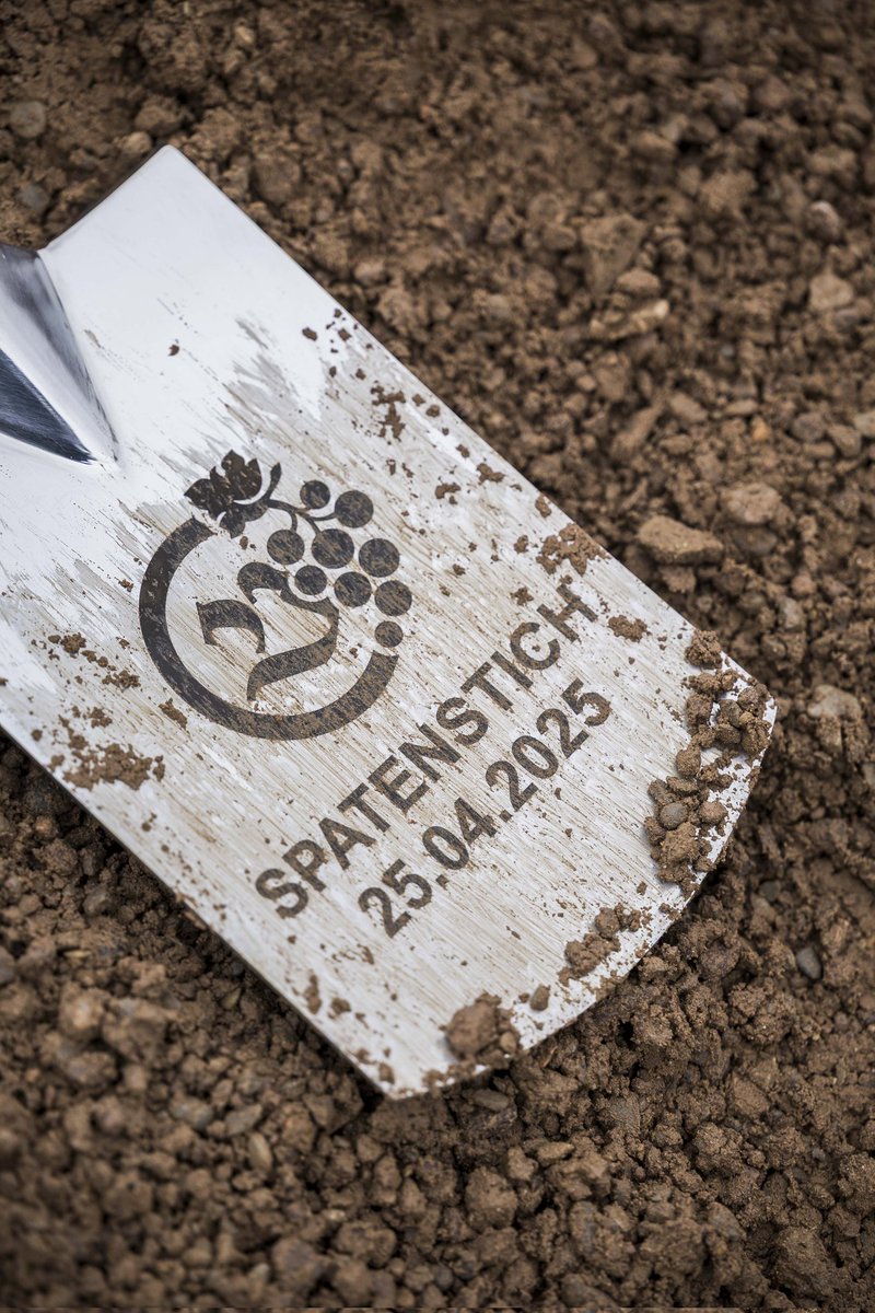 Heute nahm #Landtagspräsident Dr. König am Spatenstich zum Neubau der Weinwerkstatt 🏠 des Weinguts der vereinigten Kirchen- und Klosterkammer in Erfurt teil. Er wünscht den Winzerinnen und Winzern stets gute Erträge und ein glückliches Händchen bei deren Weiterverarbeitung.🍇🍷