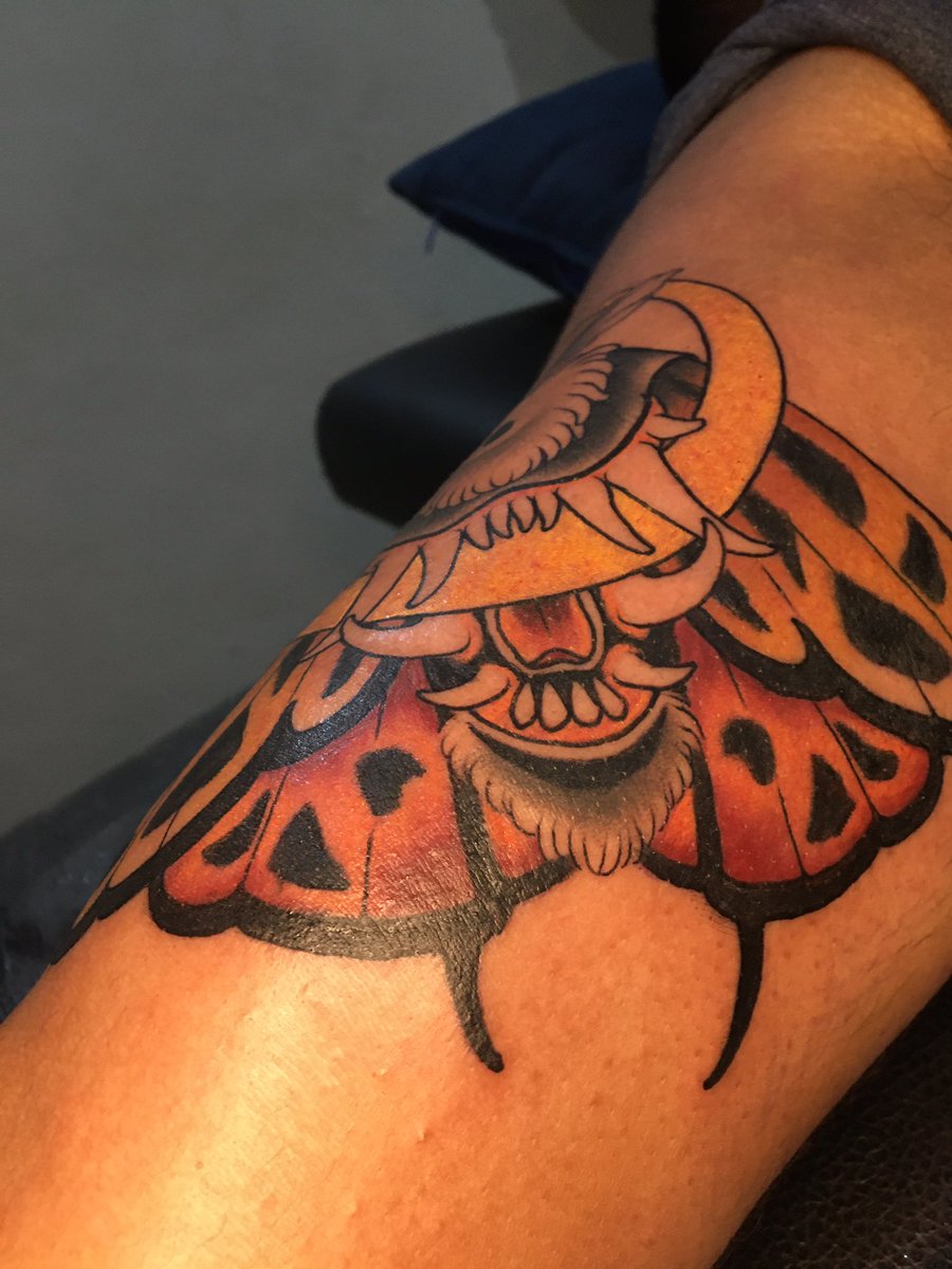 Polilla Tigrrre 🌙

Estoy feliz de que vuele esta polilla 🐯, gracias Tony ✨✍🏽