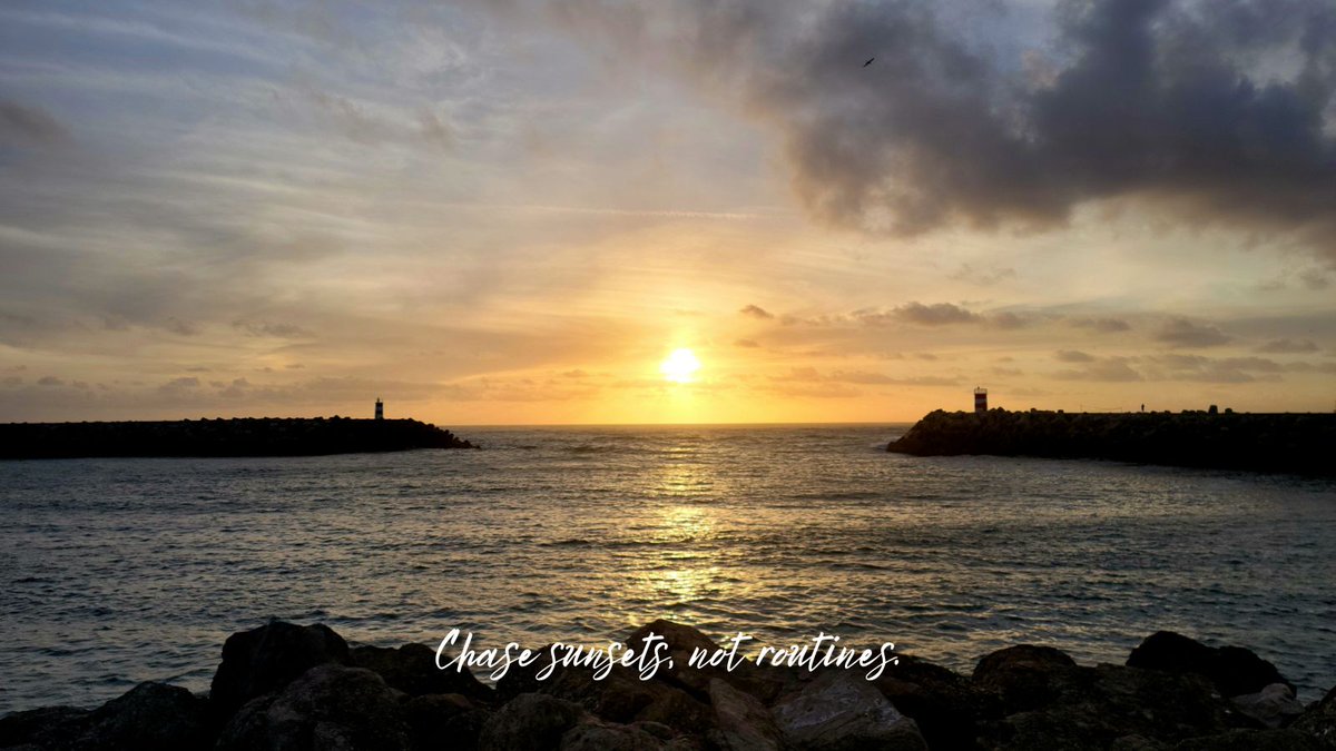 6B Photography tweet media