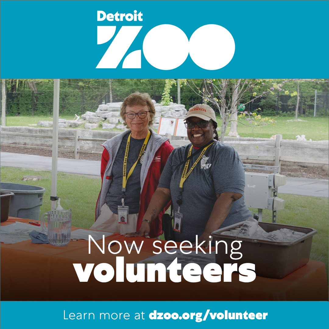 Love the <a href="/detroitzoo/">Detroit Zoo</a>? Share your talents as a volunteer! Make a paws-itive impact and support their important mission. Learn more today! 
bit.ly/4kVt8pQ

#Detroit #zoo #Sponsoredad