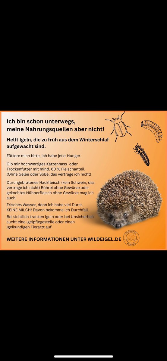 HilfeIgel's tweet image. ‼️‼️‼️‼️‼️‼️‼️‼️‼️‼️‼️‼️