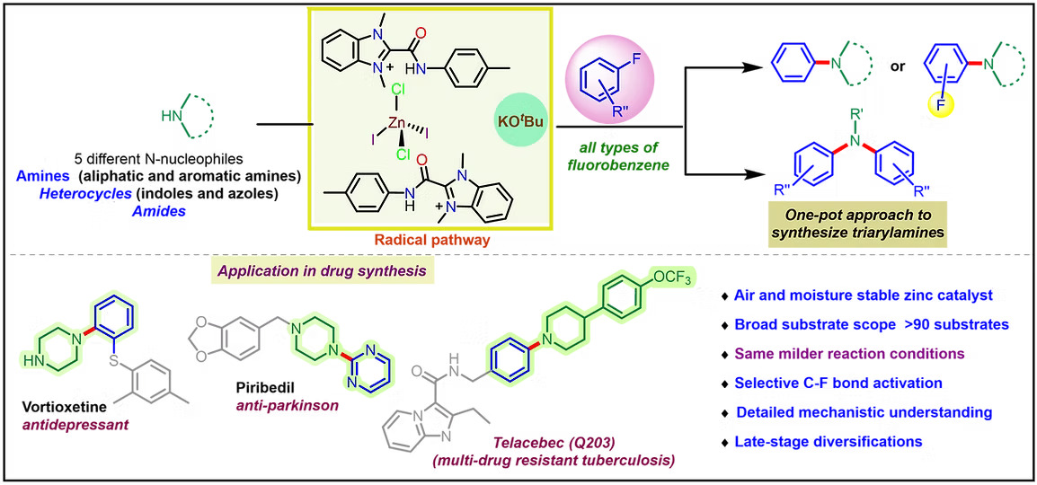 aromcl_lab's tweet photo. Just out @angew_chem our work on 'Adaptive Defluoroamination of Aryl Fluorides: Harnessing the Catalytic Potential of a Unique Zinc Amide Compound' 😃. Congratulations Sangita. Thanks to @serbonline &amp; @iitmadras for funding and @CSIR_IND for fellowship. https://t.co/00qVX8vSao