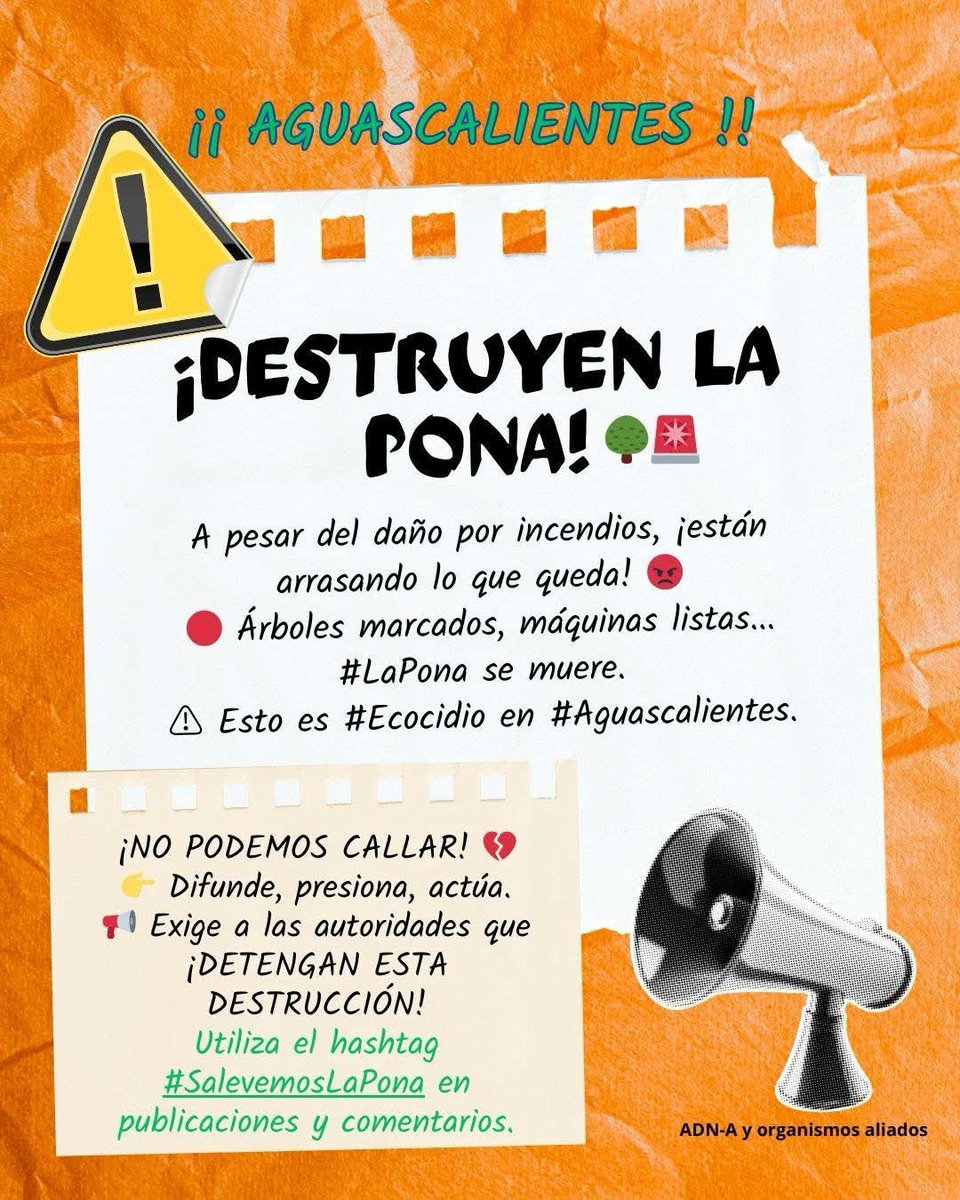 🚨 #Ecocidio en #Aguascalientes. 

Con maquinaria, trabajadores remueven vegetación nativa de la mezquitera La Pona, uno de los dos últimos pulmones naturales que nos quedan en la ciudad. Hace años que la quieren convertir en un residencial. 

#SalvemosLaPona