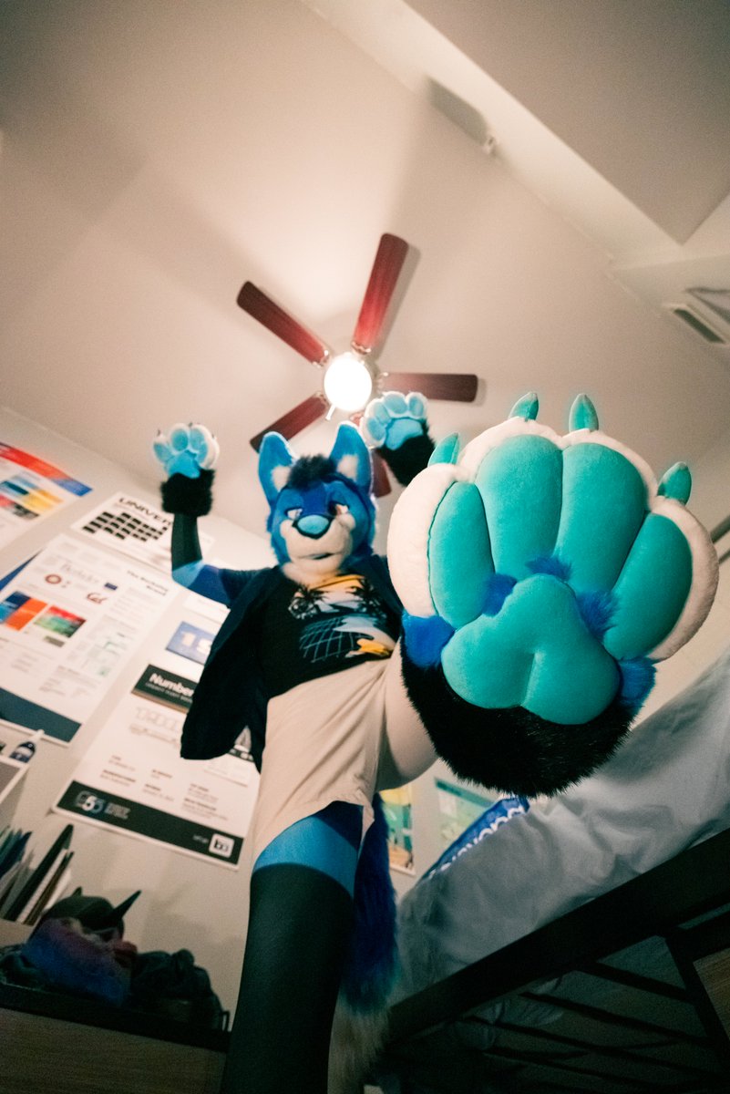 🦋 @tegfox.blue 🔜 FWA,AC (@floofybluething) on Twitter photo Showing off my bloo paw beans from <a href="/wildnorsewolf/">Norsewolf • 北欧狼</a> :3
🦊🧵: <a href="/UnleashedSTU/">Unleashed Studios</a>
🐾🧵: <a href="/wildnorsewolf/">Norsewolf • 北欧狼</a>
📸: <a href="/KosmicHusky/">KosmicHusky</a>
#FursuitFriday Showing off my bloo paw beans from <a href="/wildnorsewolf/">Norsewolf • 北欧狼</a> :3
🦊🧵: <a href="/UnleashedSTU/">Unleashed Studios</a>
🐾🧵: <a href="/wildnorsewolf/">Norsewolf • 北欧狼</a>
📸: <a href="/KosmicHusky/">KosmicHusky</a>
#FursuitFriday