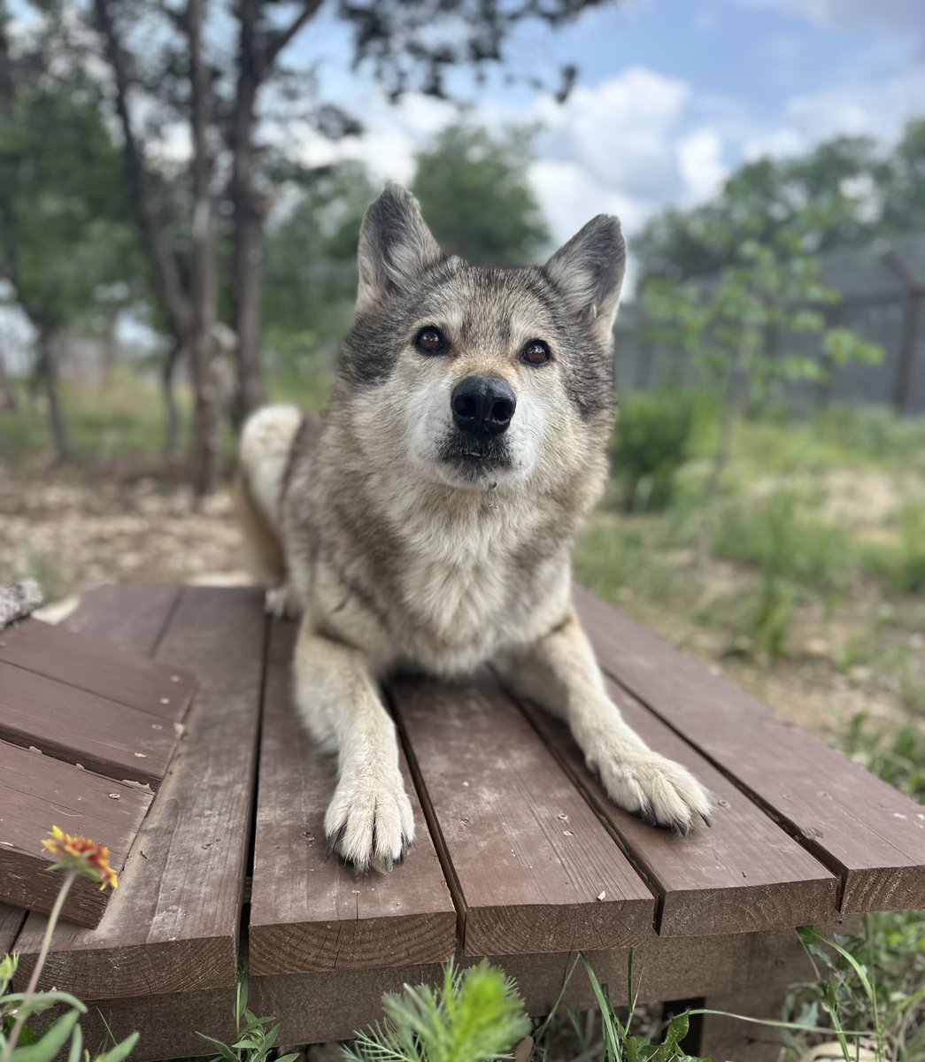 Everyone thank Sruti for these amazing Awa pics 😌📸