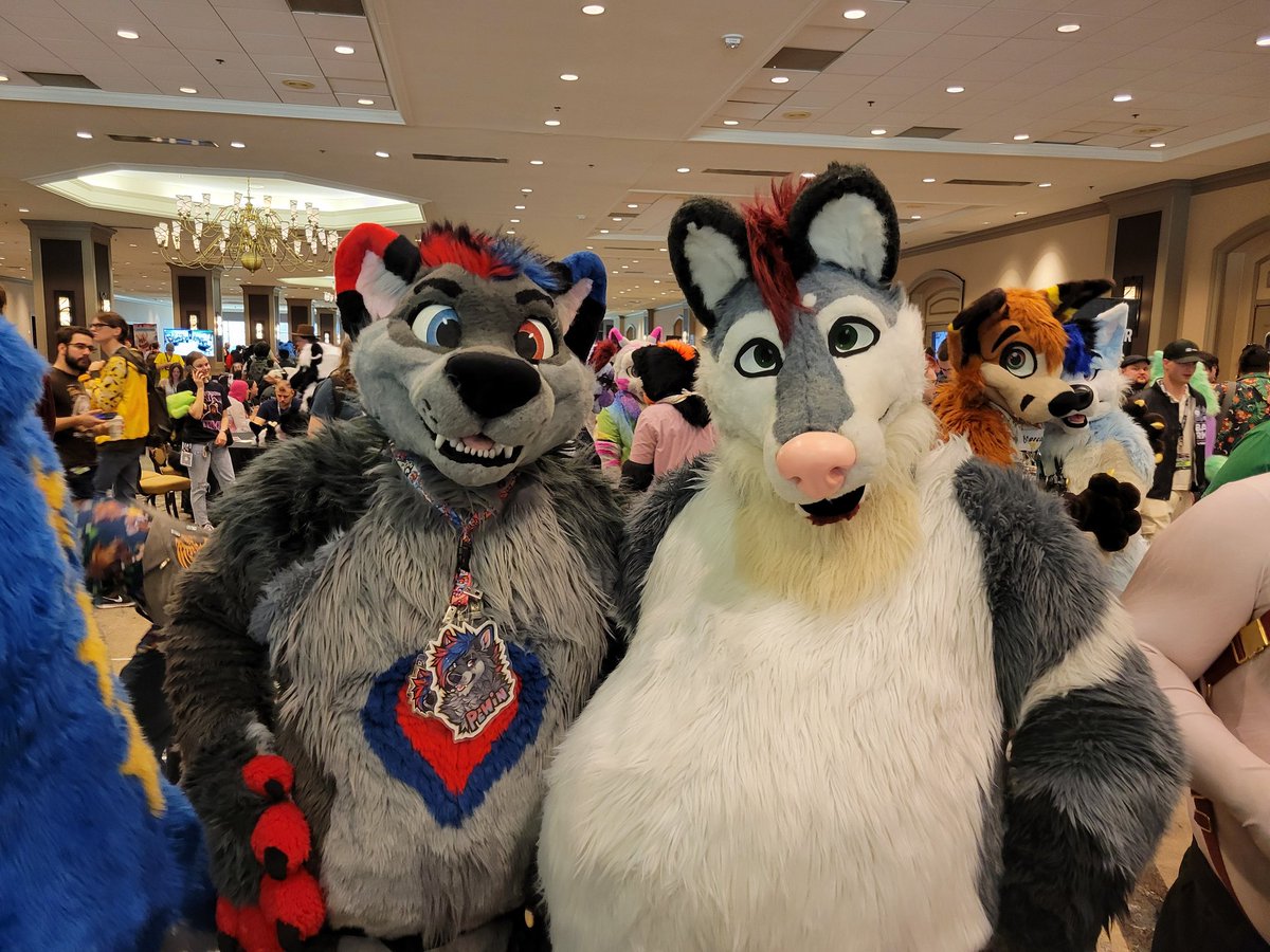 Happy #FursuitFriday
I got to meet Biigg dooogg.
Very soft, very sweet~ 
#tff25 
@/Silver