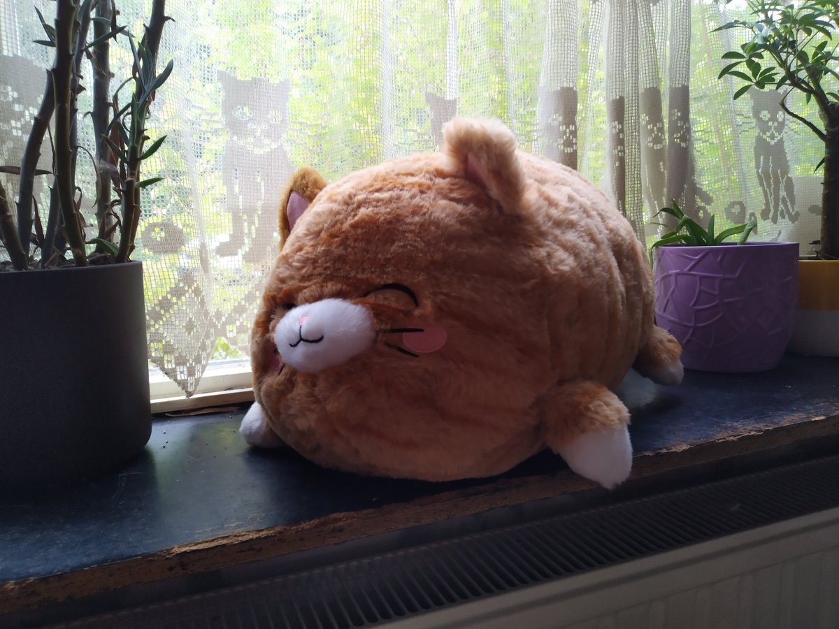 Krijg nou wat. Vrouwtje kwam thuis met dit ding. #knuffelkat van de <a href="/HEMA/">HEMA</a> .