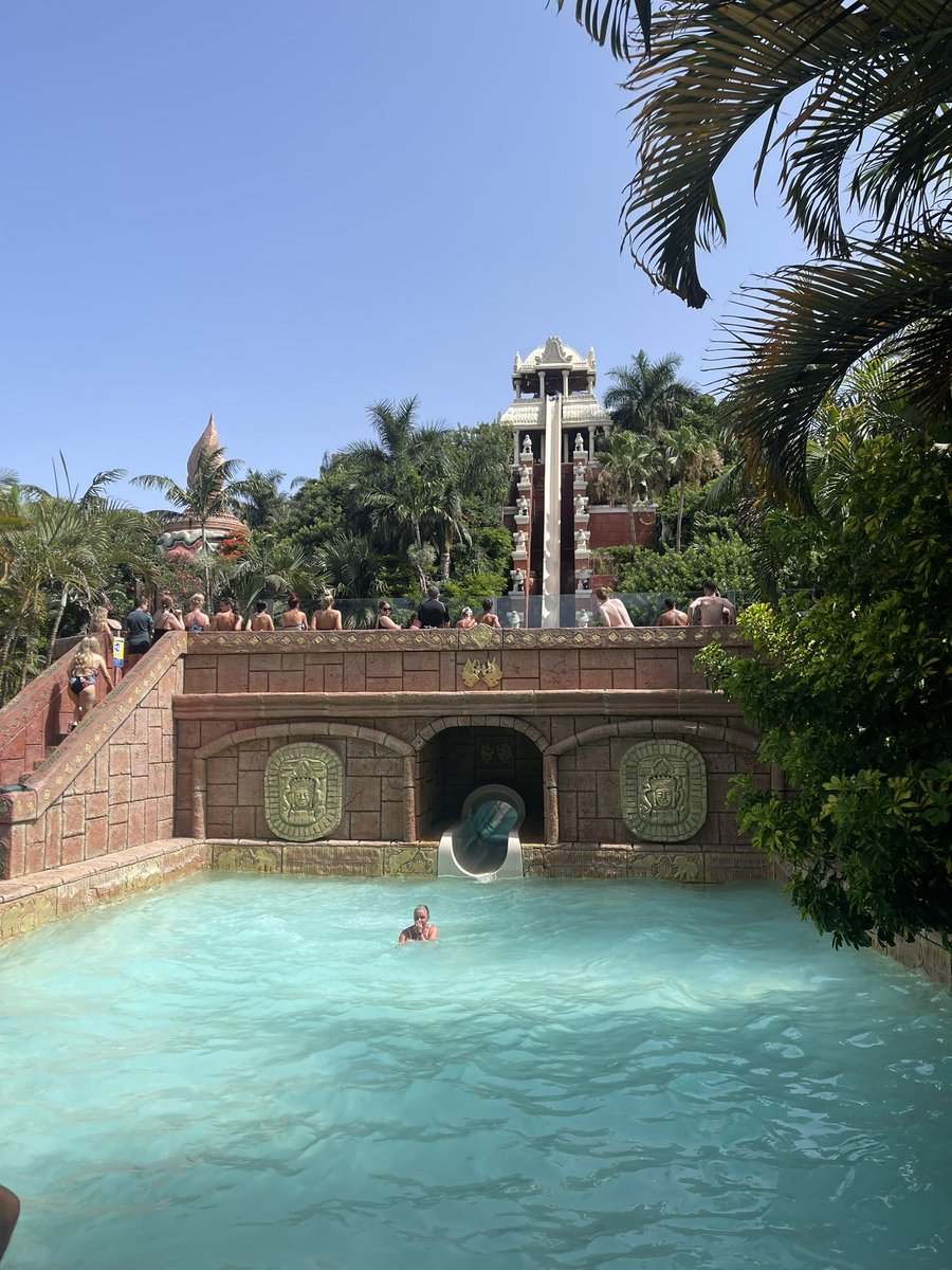 카이젠 tweet media