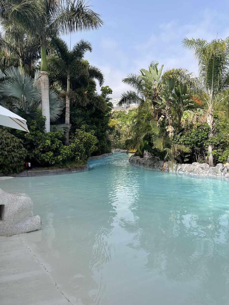 카이젠 tweet media