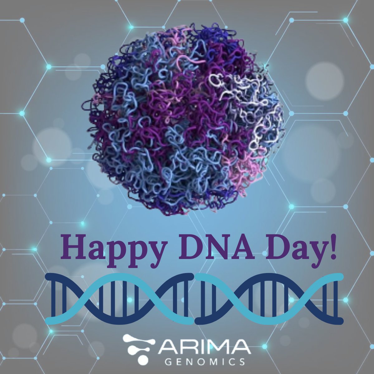 Arima Genomics (@arimagenomics) on Twitter photo Today marks National #DNA Day, honoring the discovery of the DNA double helix🧬 and the completion of the Human Genome Project <a href="/genome_gov/">National Human Genome Research Institute</a>. But DNA is more than just a sequence, it’s a 3D structure packed inside the nucleus, shaping gene regulation, genome function, and disease Today marks National #DNA Day, honoring the discovery of the DNA double helix🧬 and the completion of the Human Genome Project <a href="/genome_gov/">National Human Genome Research Institute</a>. But DNA is more than just a sequence, it’s a 3D structure packed inside the nucleus, shaping gene regulation, genome function, and disease