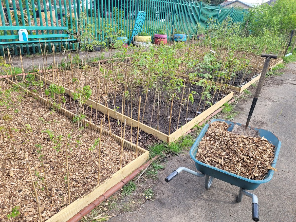 Bottoms_bray's tweet image. Looking after our baby trees in our new nursery in Revoe park.
Greening Blackpool and saving money. #TreeWarden #Volunteers