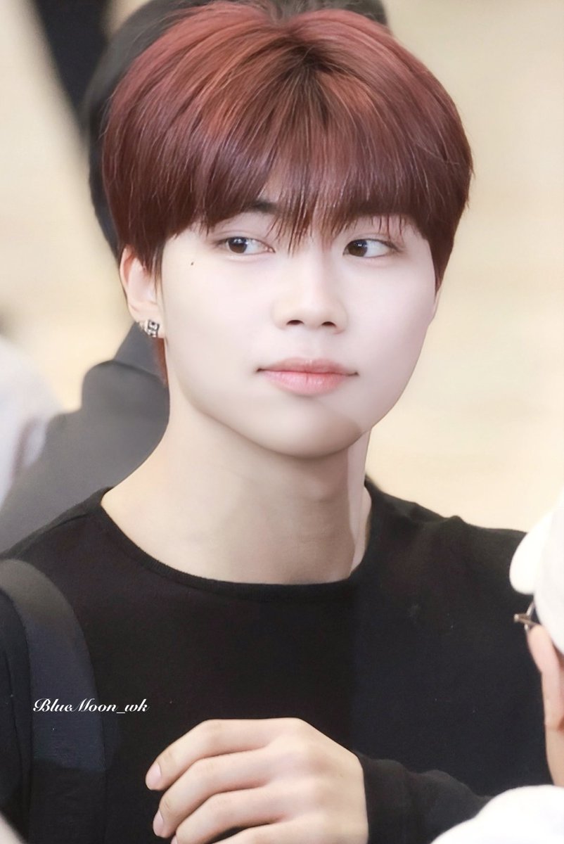 250425✈️ HQ

#PARKGUNWOOK #박건욱 #朴乾煜 #パクゴヌク #ZEROBASEONE #ZB1 #제로베이스원