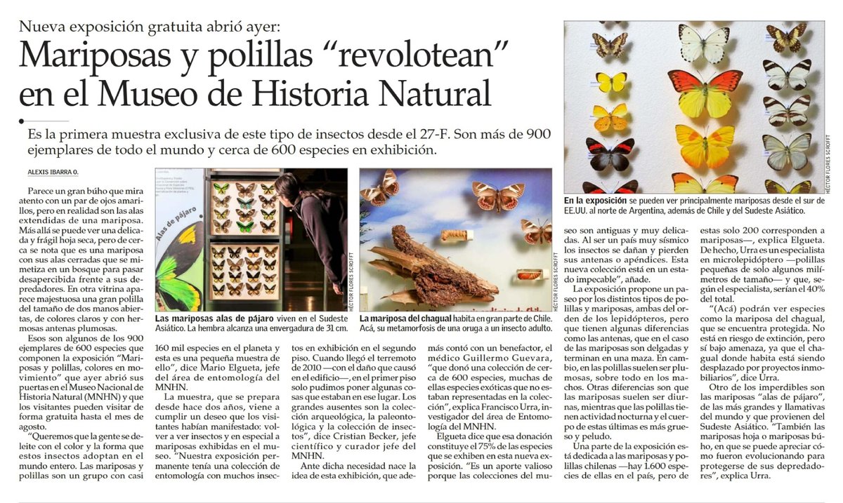 Nuestra expo de mariposas ya hace noticia 🥰🦋

En la edición de hoy de <a href="/VCT_ElMercurio/">VCT El Mercurio</a>, nota a la exposición que desde ayer y hasta el 24 de agosto en el Espacio Domeyko de nuestro museo ☺