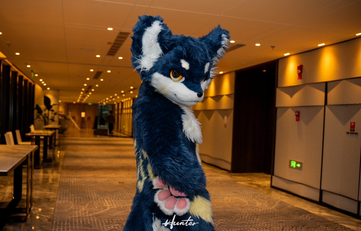 あらっ？もしかして…私の名前、知ってくれてるんですか？(*´ω｀*)
📷：<a href="/Hunter_TAT/">id丶Hunter</a> 
#FursuitFriday