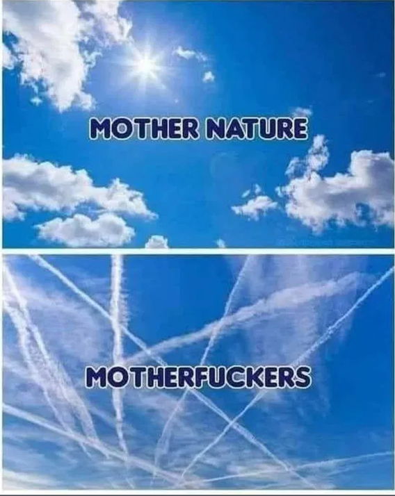 MemeoryLaine's tweet image. 