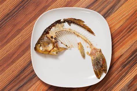 Así regresaron los peces al turista de Quintana Roo  😮