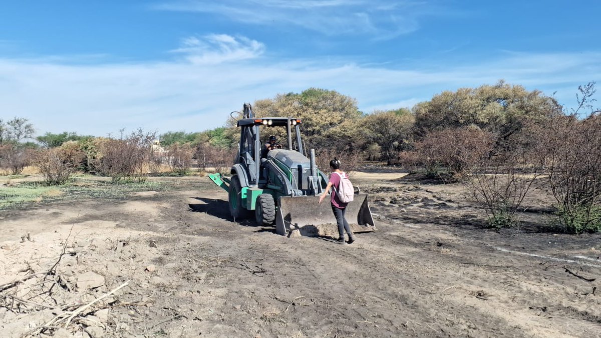 ElOjodeAgs's tweet photo. El Observatorio de Violencia Social y de Género, denunció que esta mañana maquinaria pesada ingresó a la mezquitera La Pona, iniciando la demolición de mezquites y flora nativa en esta área natural. 

#Aguascalientes #Noticias https://t.co/M8hvuDD7bN