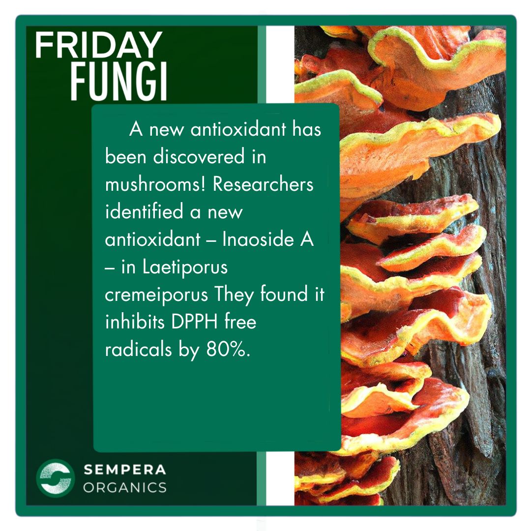 Sempera Organics tweet media