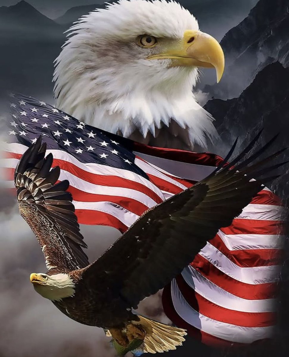Freedom flies high.
Bold, proud, and unstoppable...just like the nation it represents. 🇺🇸🦅
#USA #Patriotism #BaldEagle #AmericanFla