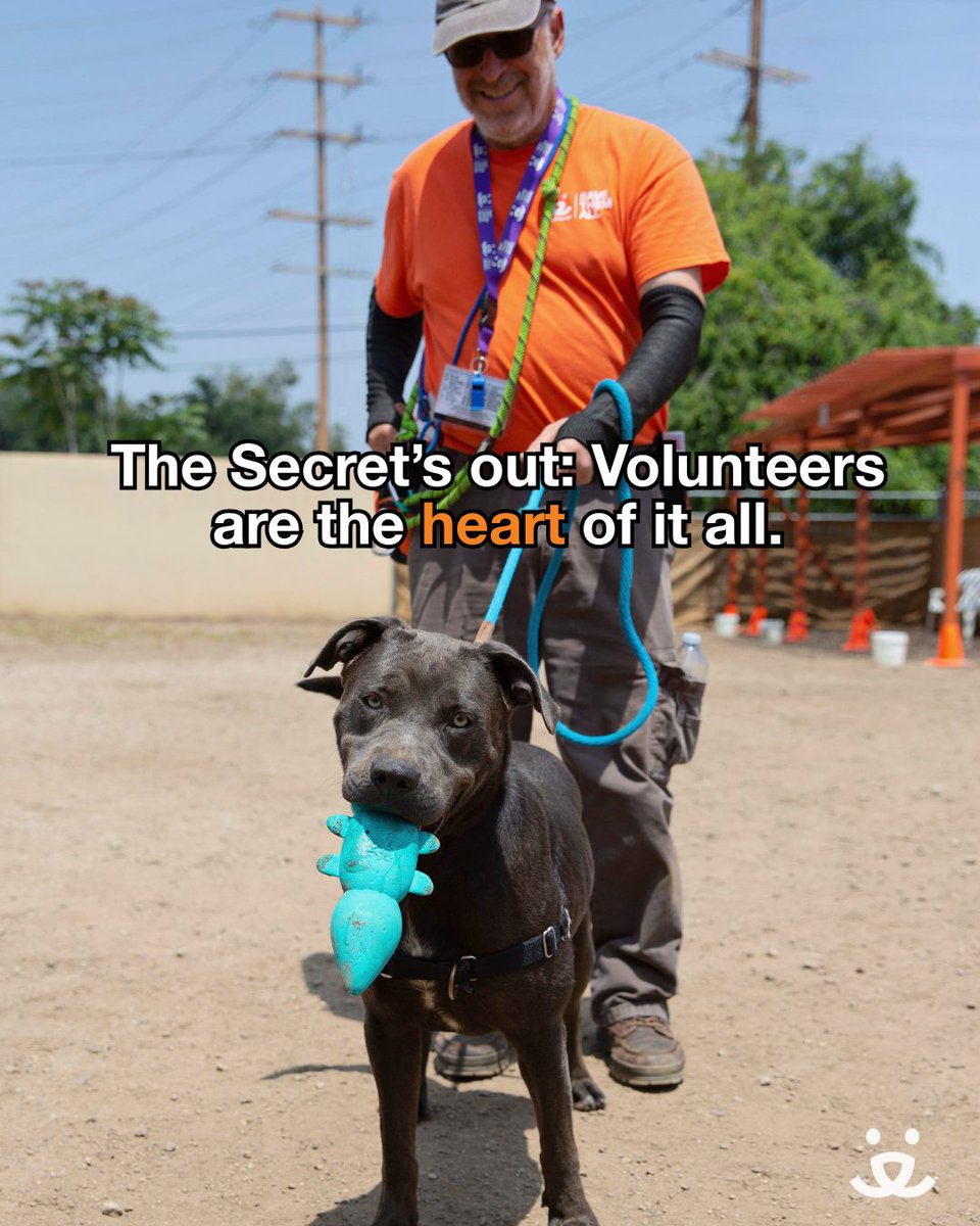 Best Friends (@bestfriends) on Twitter photo From walking dogs to painting pig portraits, 🐽 (yes, really!) every moment you give helps save lives.
Ready to make a difference?
Volunteer locally and be part of the lifesaving. bestfriends.org/volunteer?utm_…
<a href="/PointsofLight/">Points of Light</a>
#VolunteerToday #GlobalVolunteerMonth #SaveThemAll From walking dogs to painting pig portraits, 🐽 (yes, really!) every moment you give helps save lives.
Ready to make a difference?
Volunteer locally and be part of the lifesaving. bestfriends.org/volunteer?utm_…
<a href="/PointsofLight/">Points of Light</a>
#VolunteerToday #GlobalVolunteerMonth #SaveThemAll
